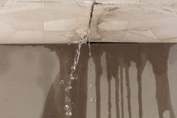 Professional Sewage Cleanup technician working in Guthrie, KY